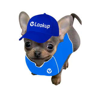 Mascota Lookup